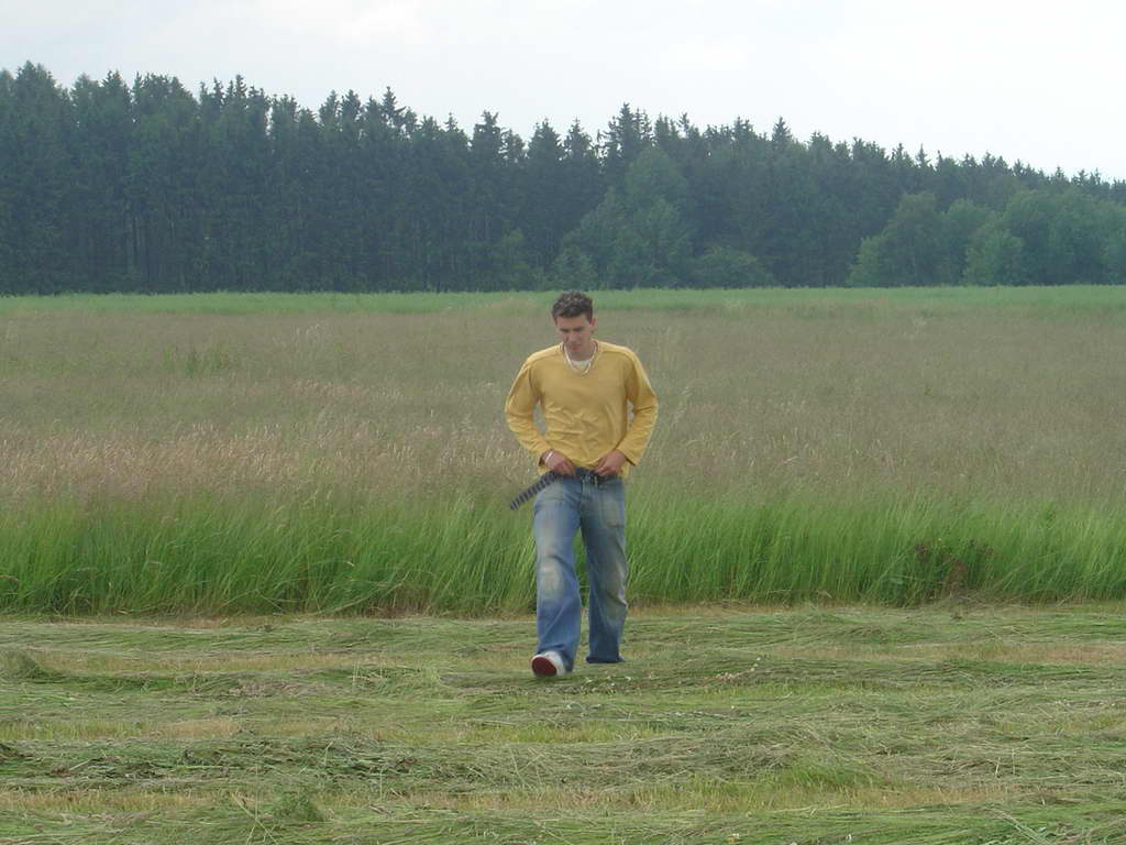 plana
