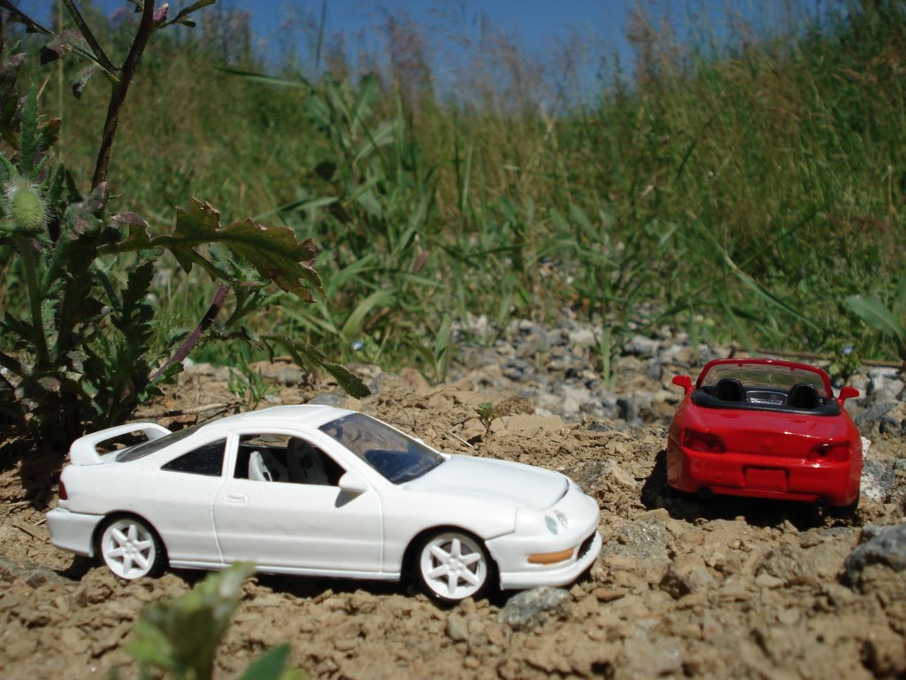 Ranní vyjížďka:-D