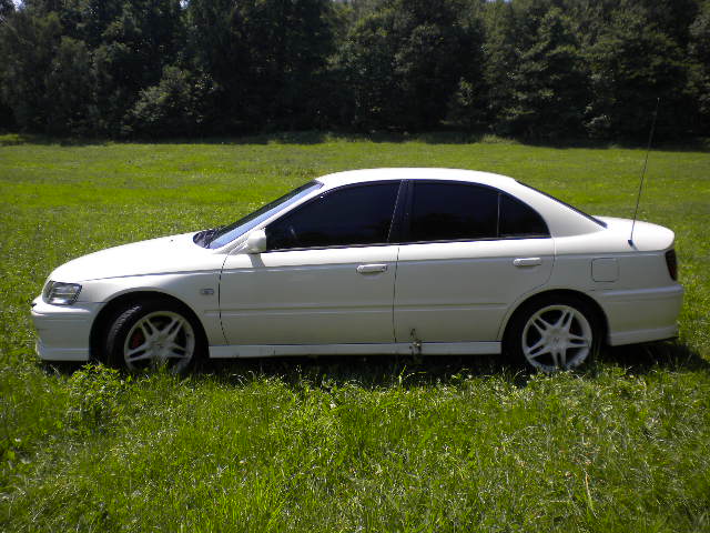 Moje hondice podruhe