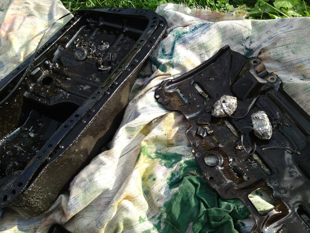 B16A1 KO... by Aliin