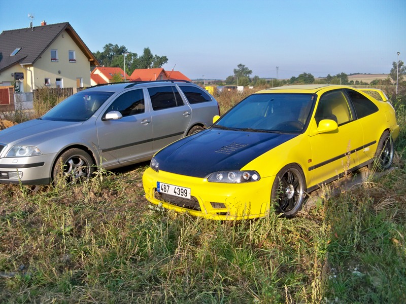 jen taková ranní fotečka