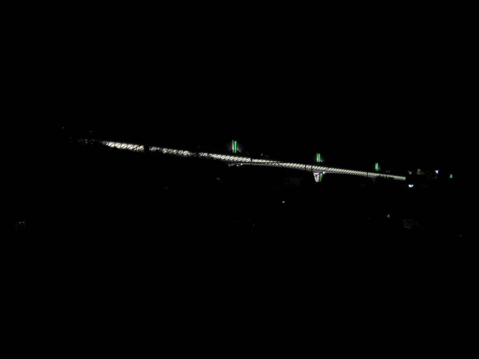 Honda Night Adventure XI