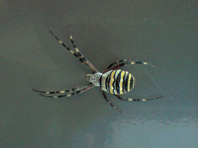 Piju si kaffe na benzince a nejdnou..