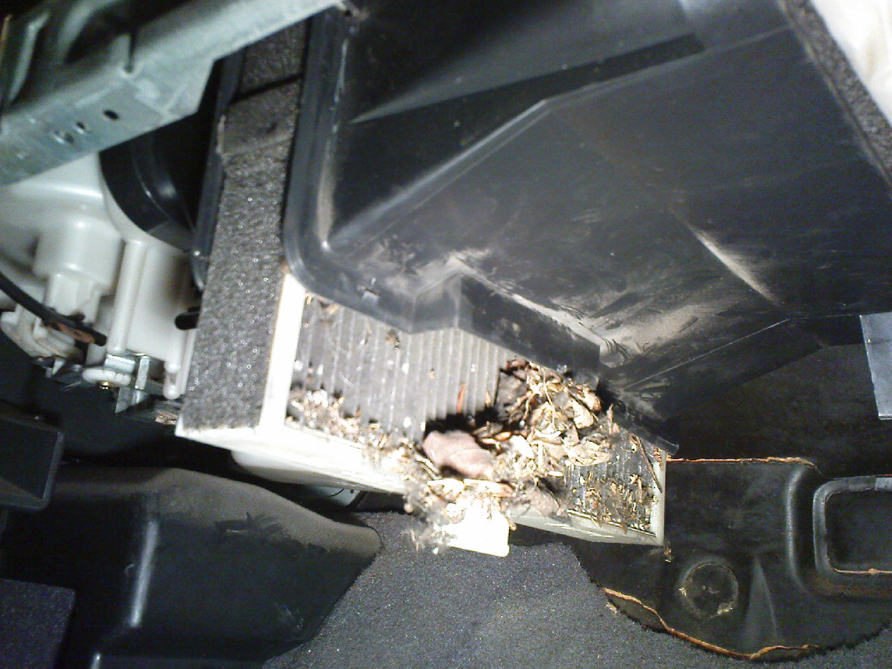 Tak toto už asi dlho nikto nemenil