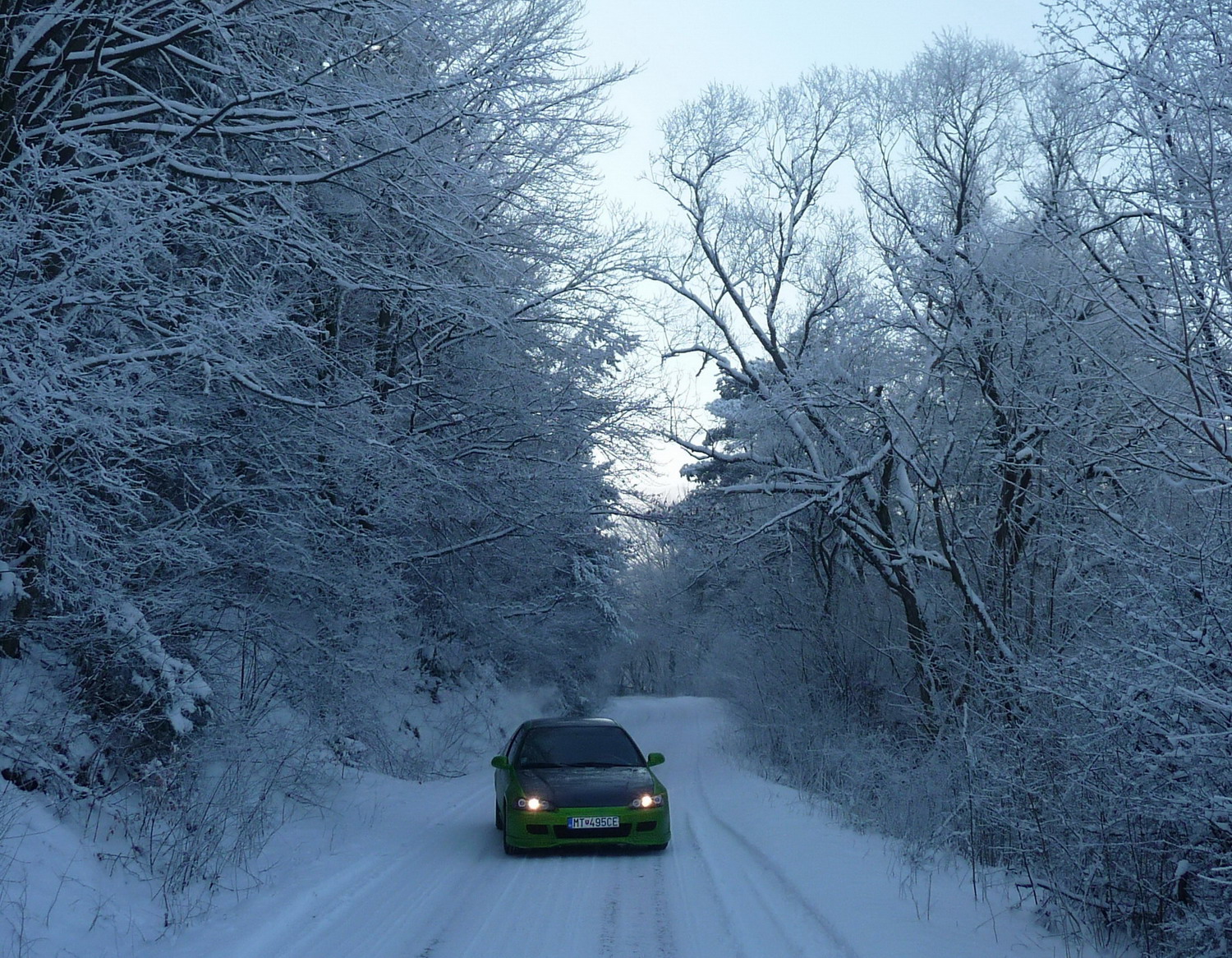 Dneskajsia mala prechadzka lesom:)