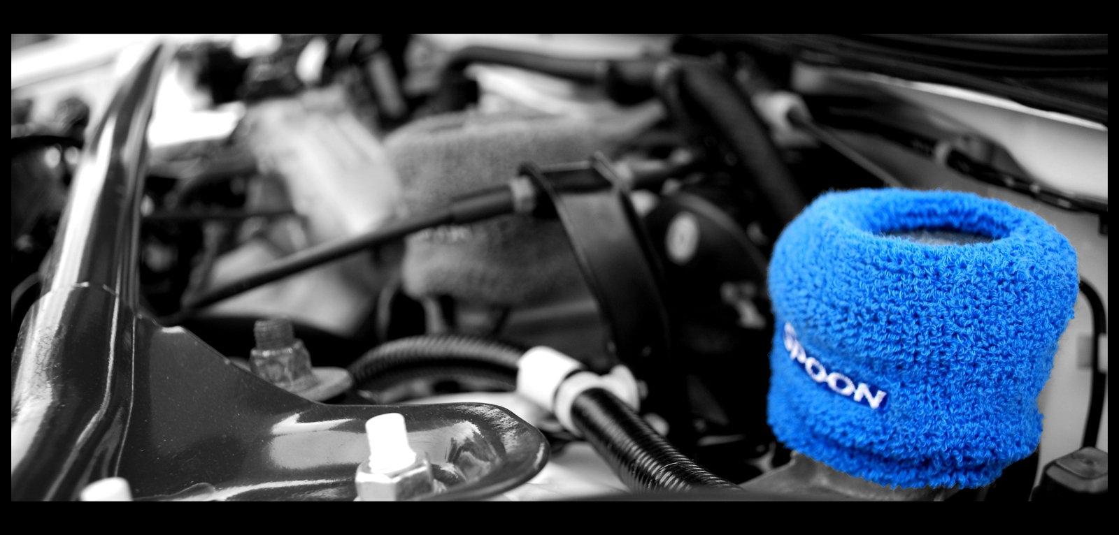 Všichni včera obdivovali...