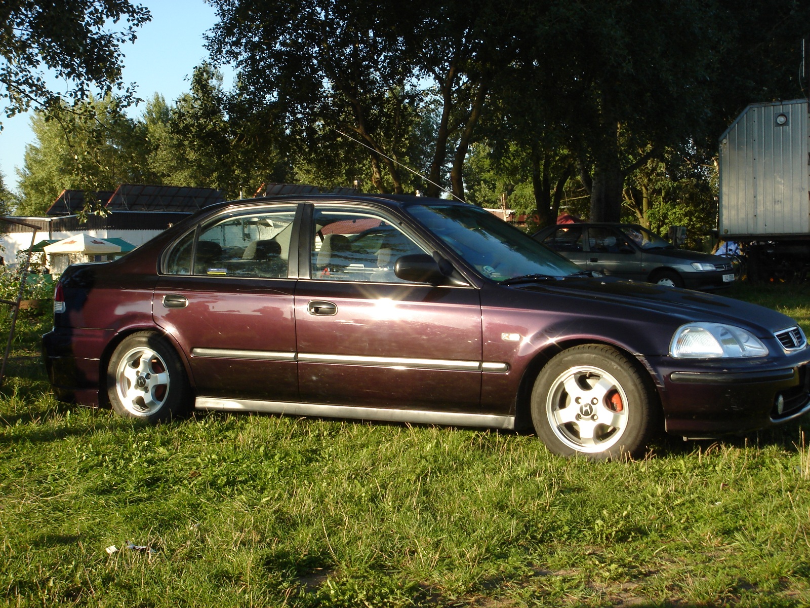 Petura: Já myslel tuhle fialovou...