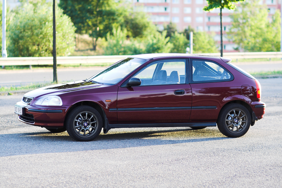 Hovnda a vzpominka na teple dny..