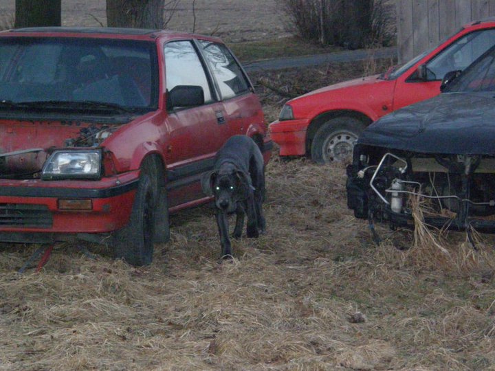 jak z nejakyho hororu...