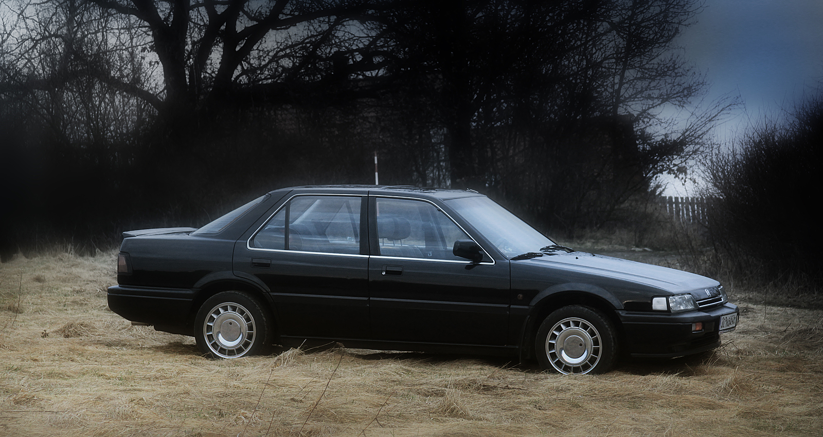 taky tu bábu při jaru  trochu vzit na vzduch