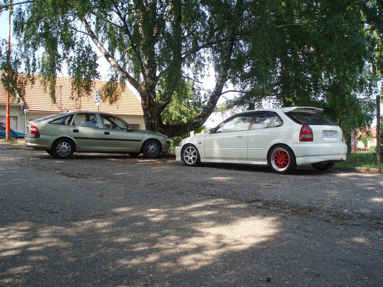 Odpolední siesta ve stínu :)