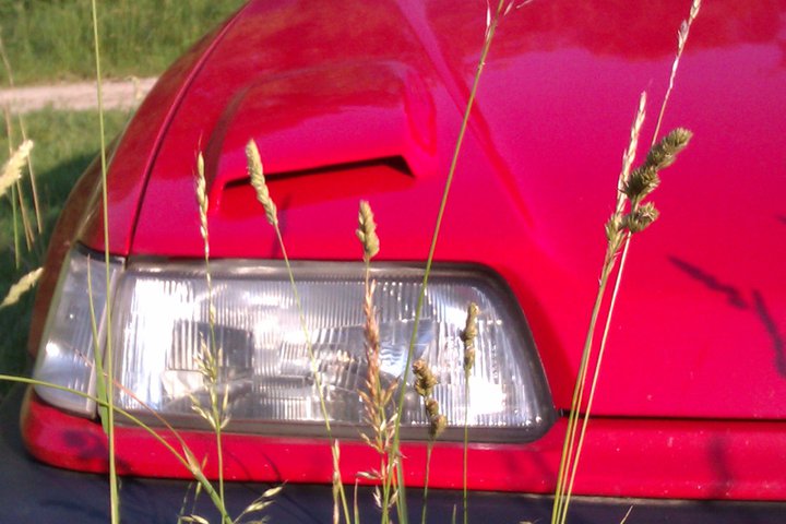 Už mě svým pohledem svádí třetím rokem :-P