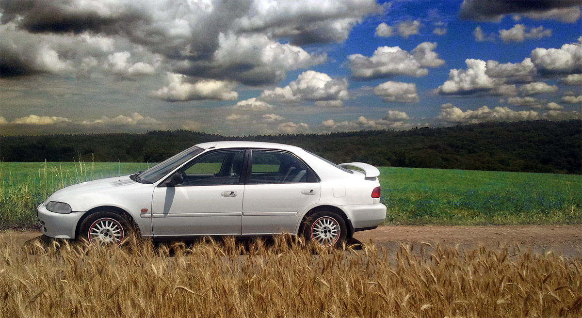 Pozdrav z Křivoklátska :)