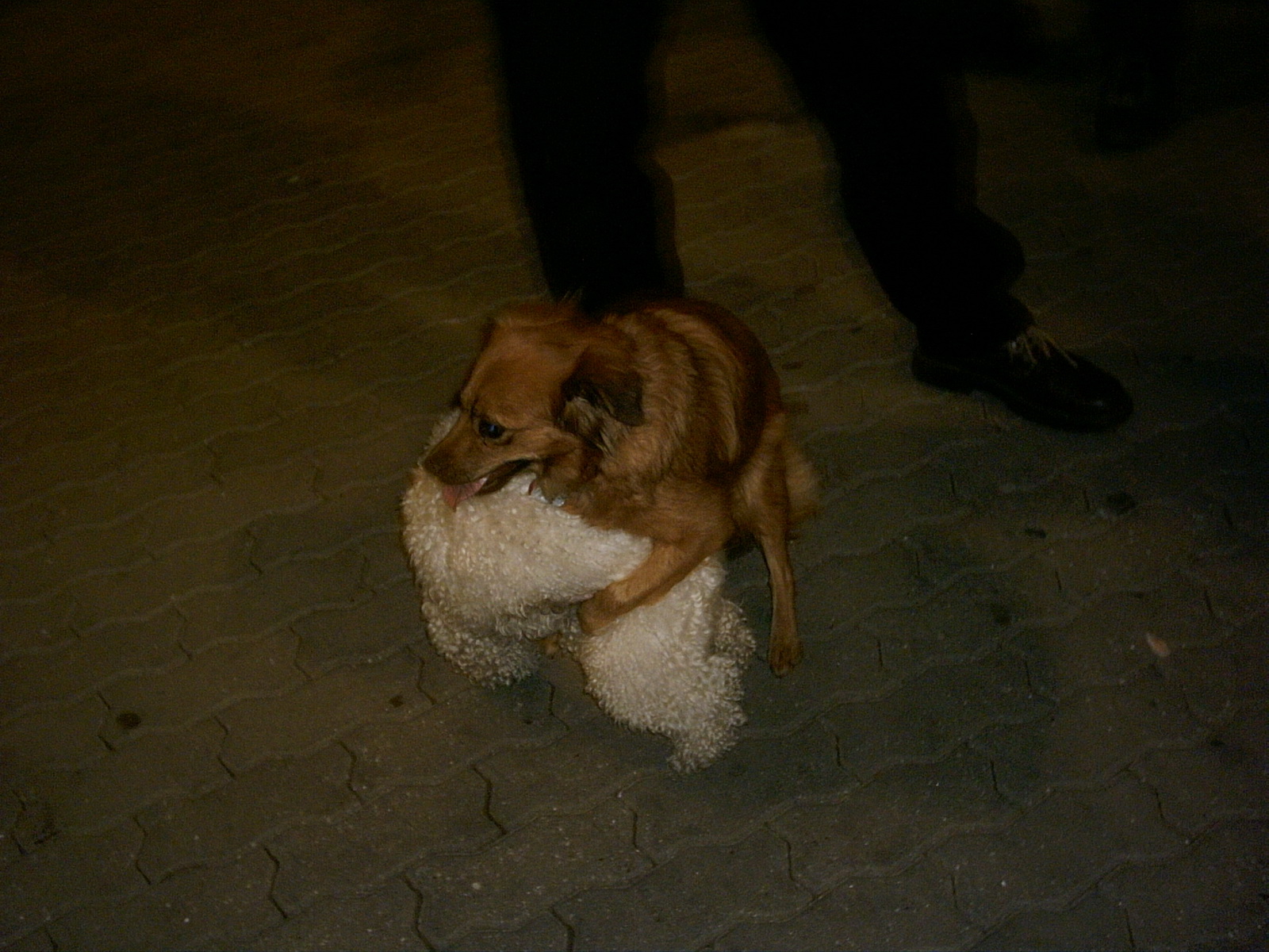 MiniMaxiSraz Chodov 19.10.2006