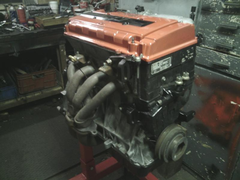 Tak kdo bude honit tohodle krasavce?