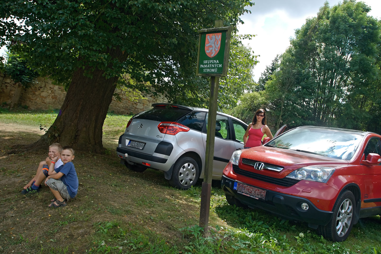 Skupina památných stromů...