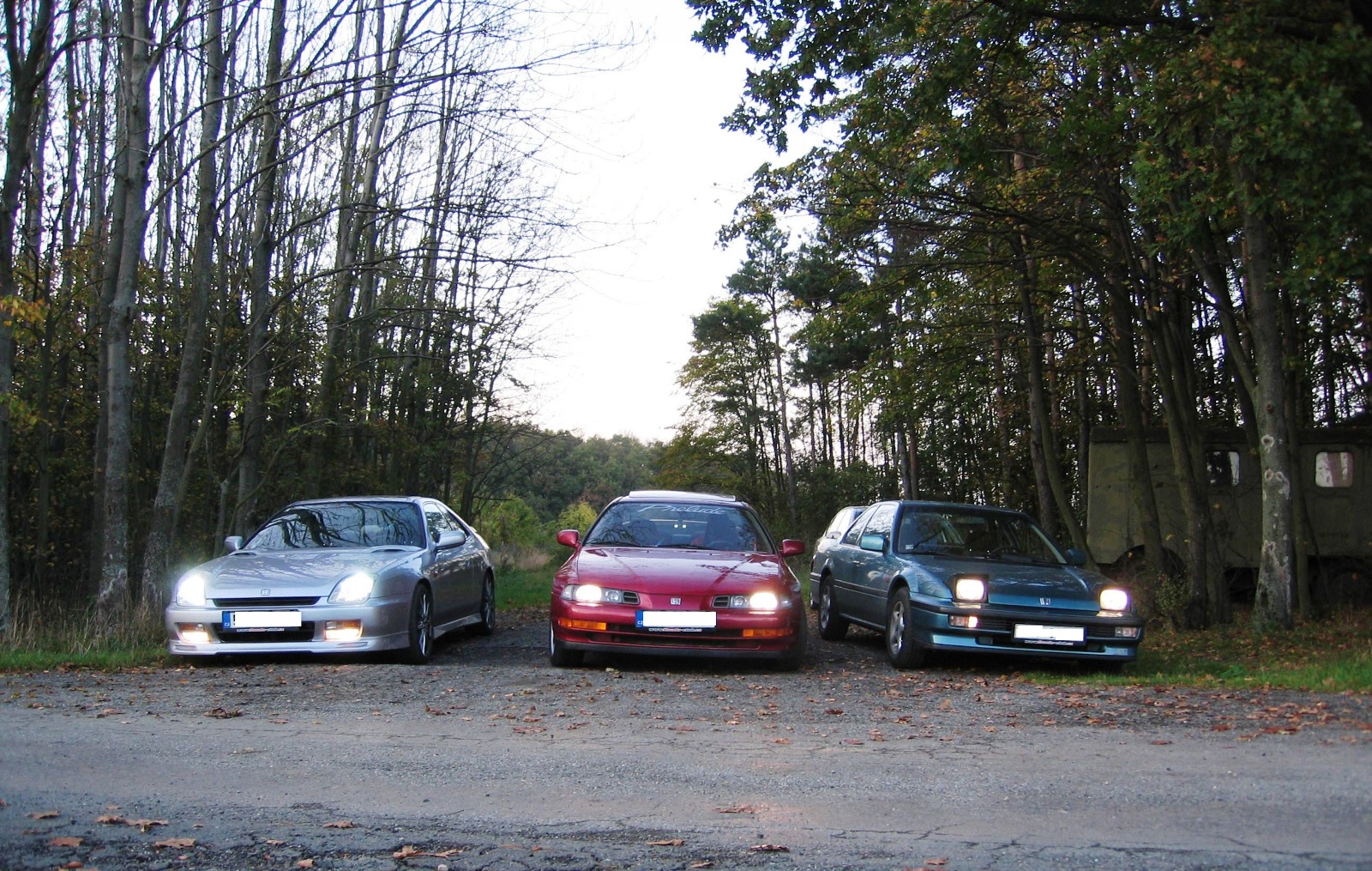 Preludky na houbách