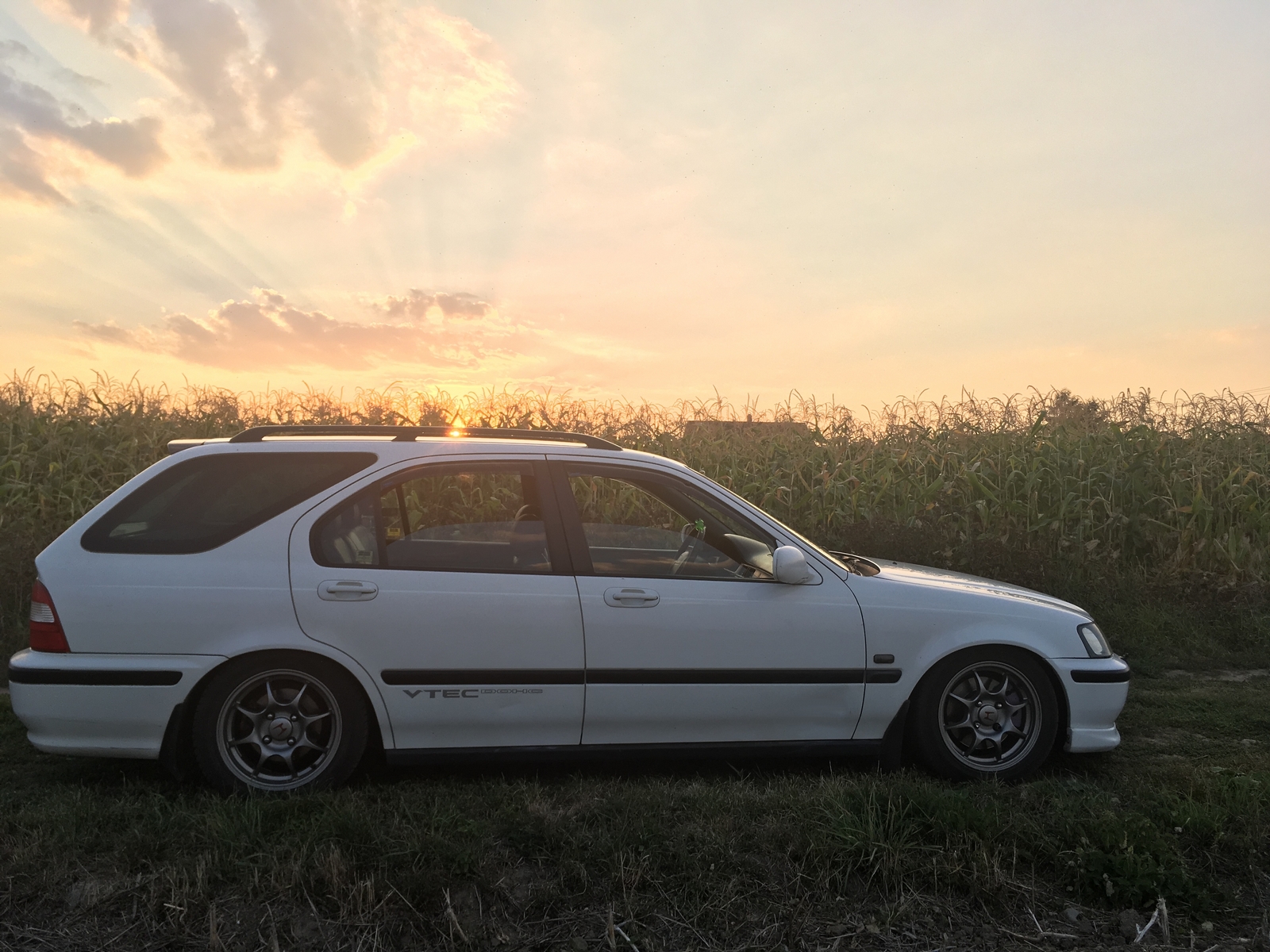 Ošklivé káčátko