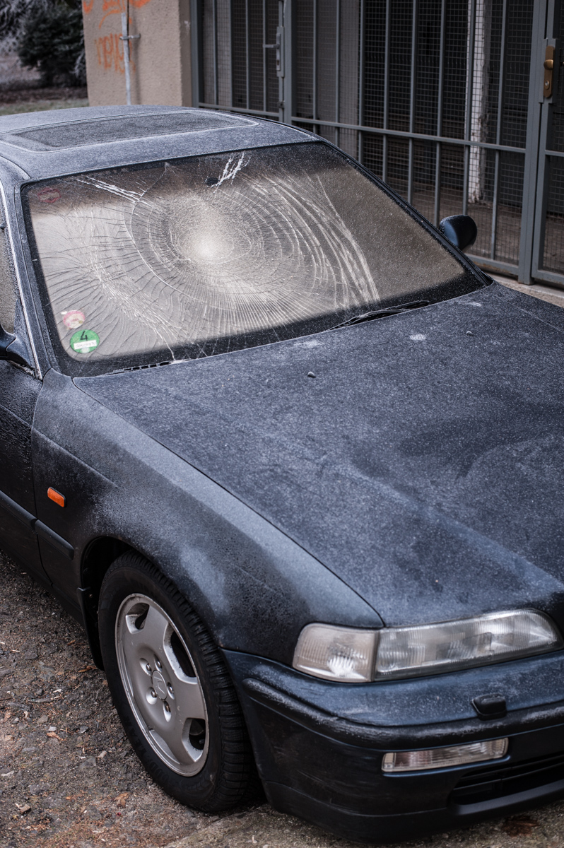 Myslel jsem, že by jednoho silvestra mohl za barákem přežít. Prostě jsem byl línej ho odvézt na bezpečnější místo. Nepřežil.