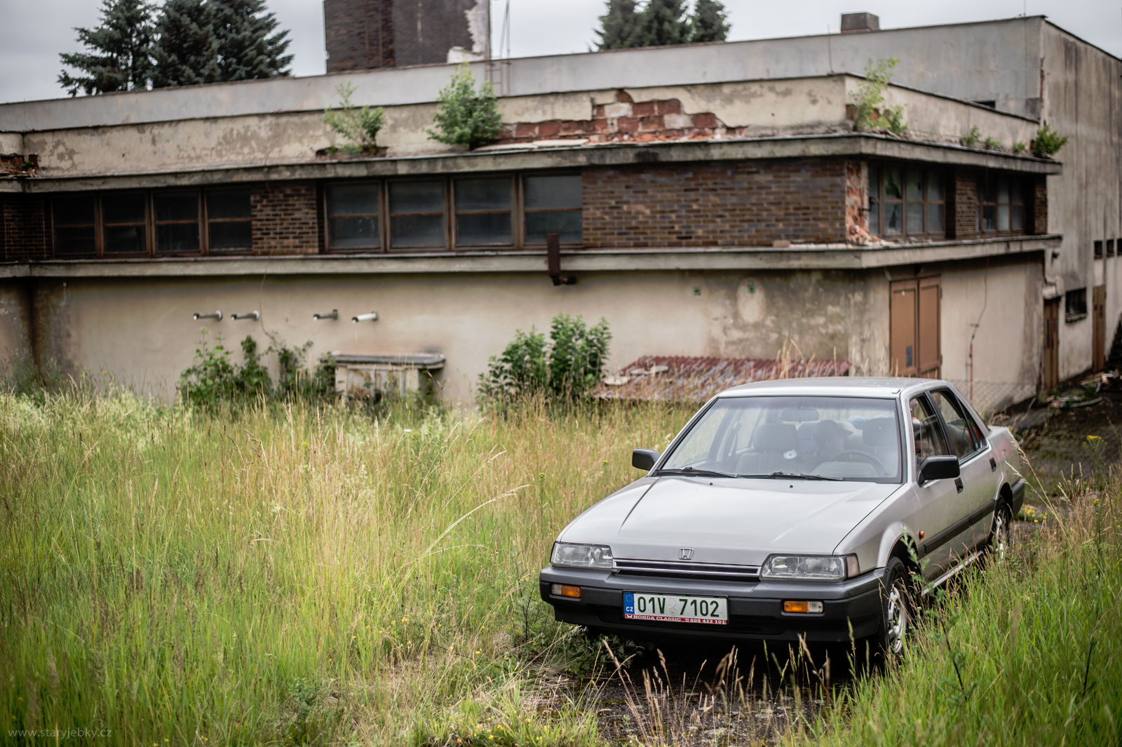 Taky tak trochu v trávě :)