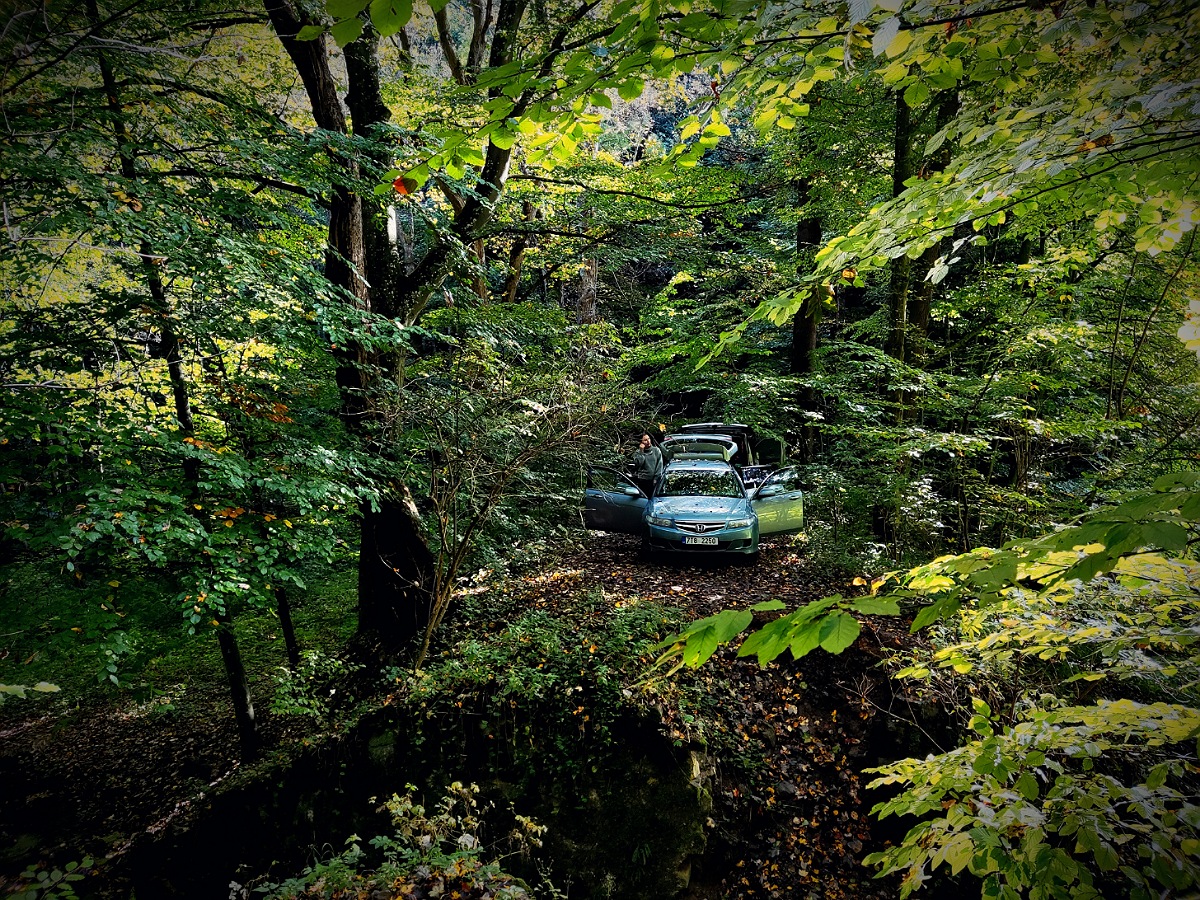 Ráno v Moravském krase