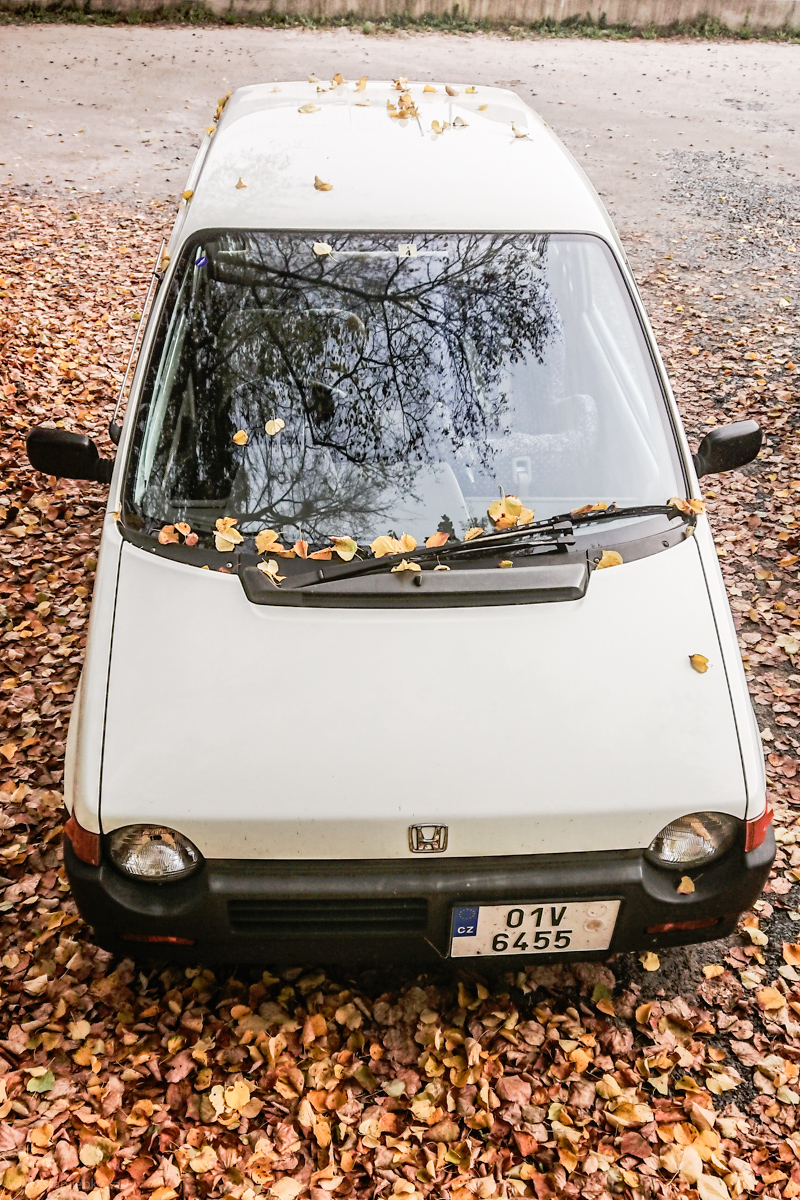 Tak teda podzim, žejo ... ? :)