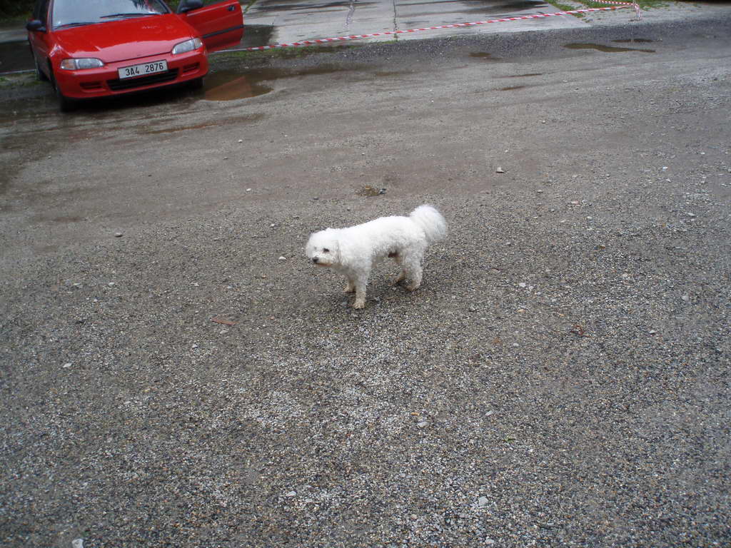 Vysočina 2007