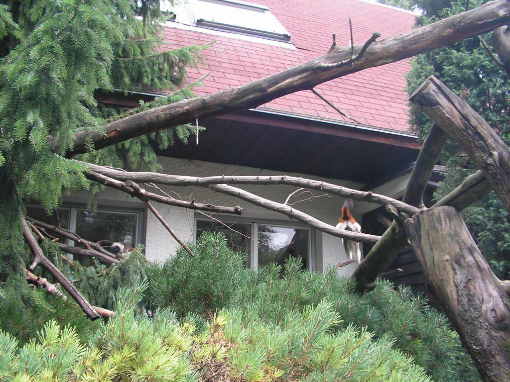 Vysočina 2007