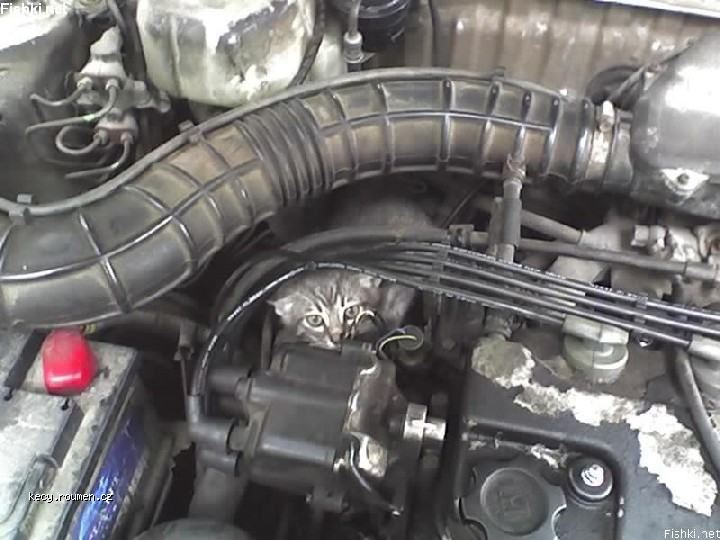 Héle, podej mi čtrnáctku :-D