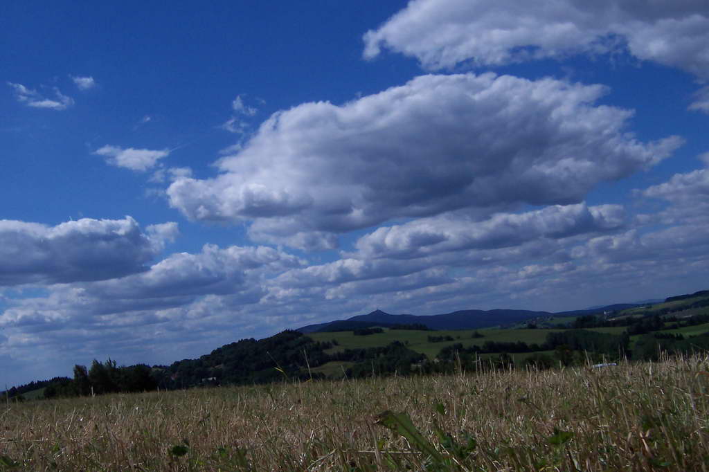 Bohemka 2006