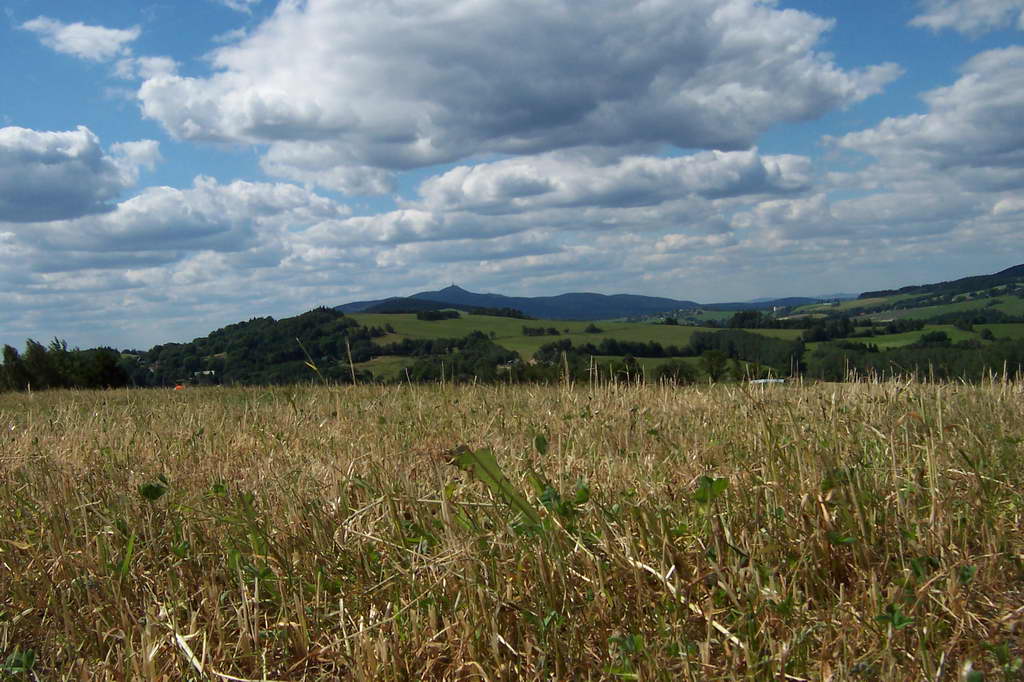 Bohemka 2006