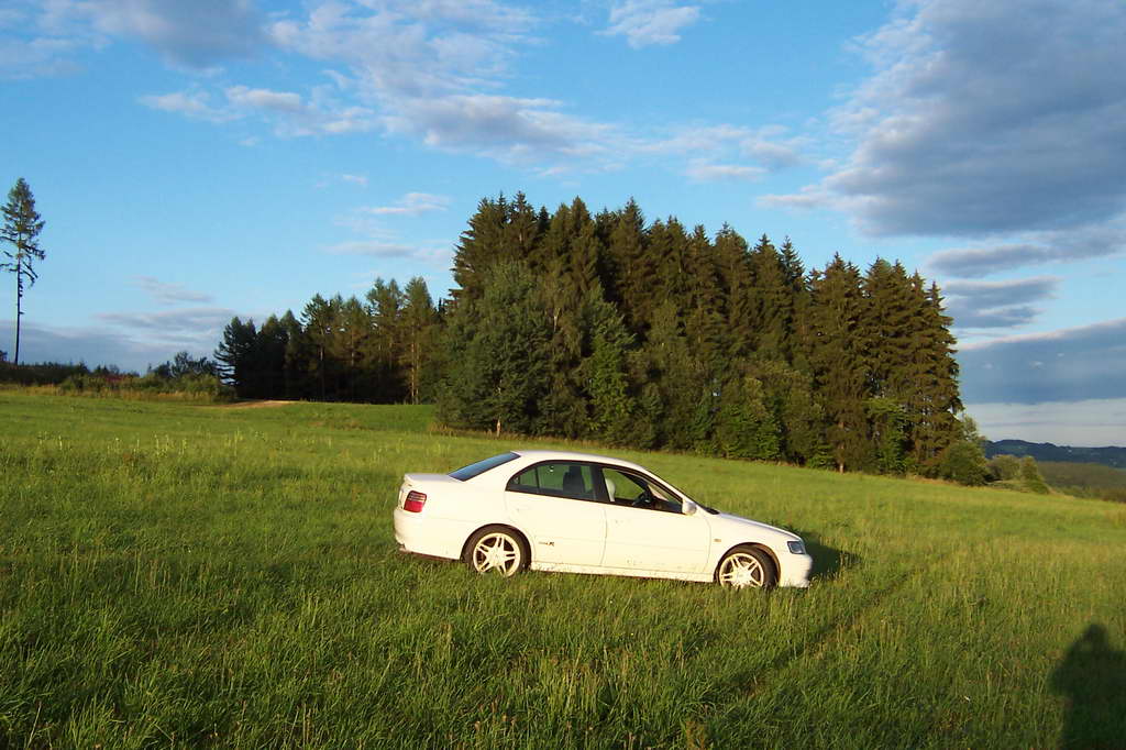 Bohemka 2006