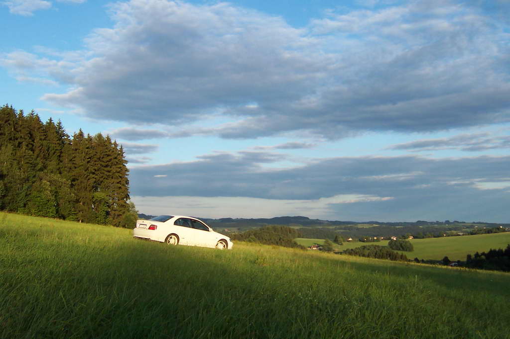 Bohemka 2006