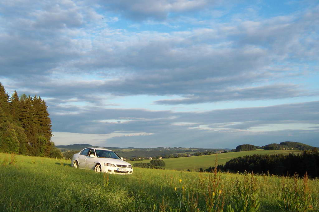 Bohemka 2006