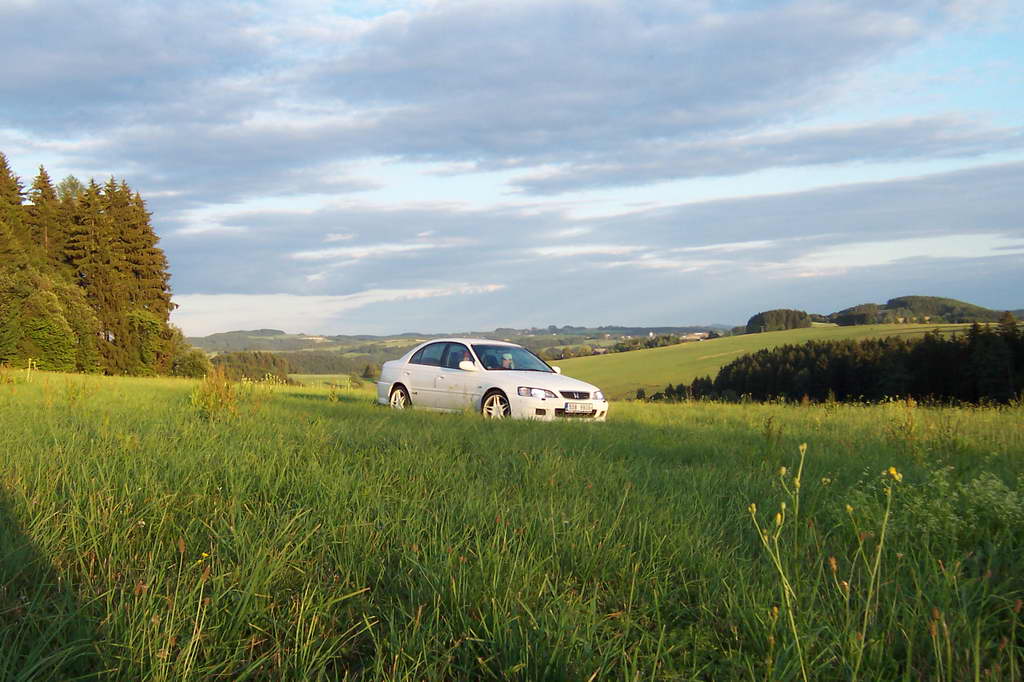 Bohemka 2006