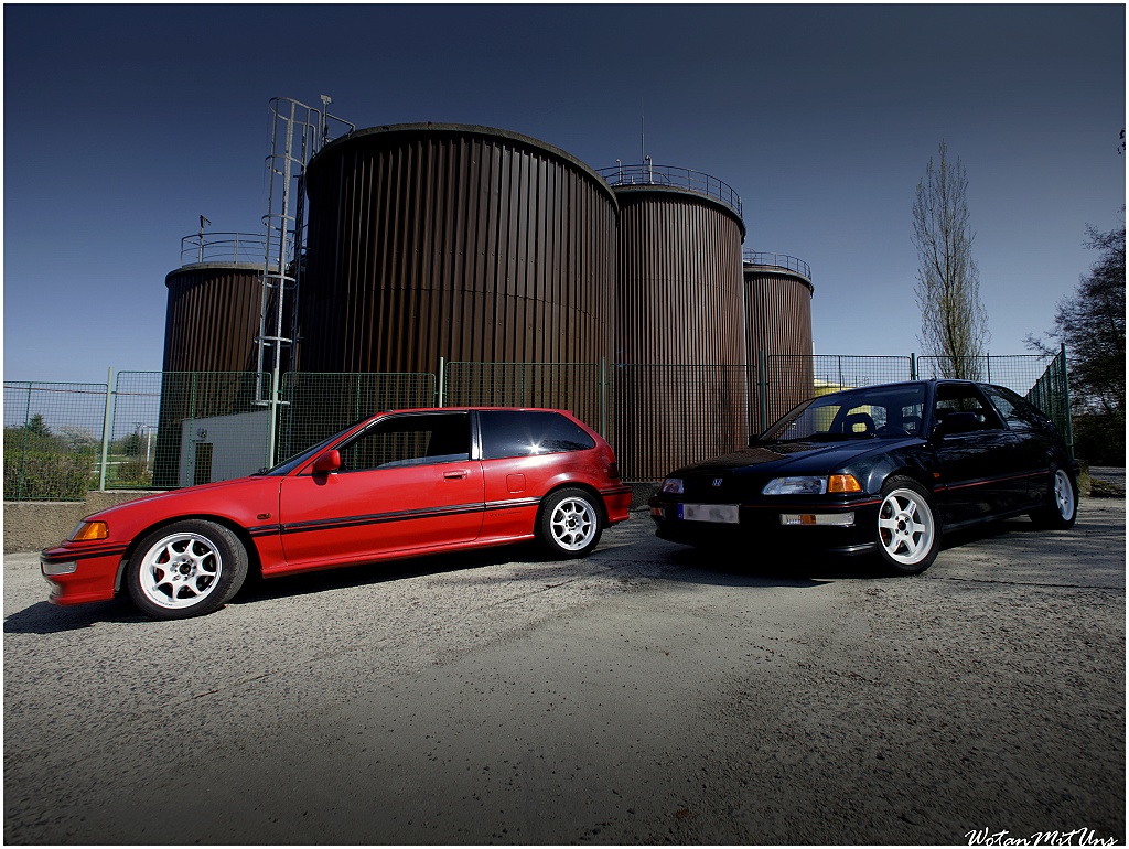 pokračování jarního výkvětu