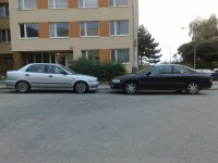 040920101512.jpg