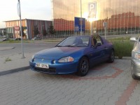 10062010728.jpg