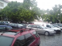 105.JPG