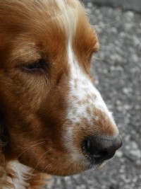 108_0060zm.JPG