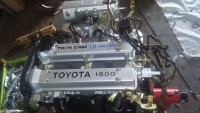 11015229_10202913221505249_571861964_n.jpg