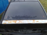 11102011244.jpg