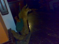 120620101372.jpg
