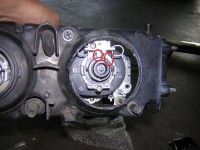 19672hid_back_shot-med.jpg