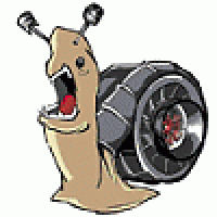 199994983849189f4292b34.gif