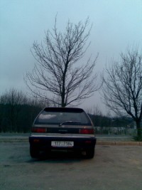 2010 09 (4).jpg