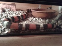 2012-11-06 16.57.26.jpg