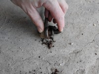 20170304_101857.jpg