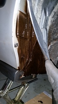20170307_172448.jpg