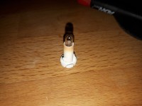 20180308_010756.jpg